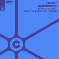 Artwork for Blueberry by Probspot