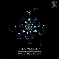 Artwork for What You Want by Jens Mueller