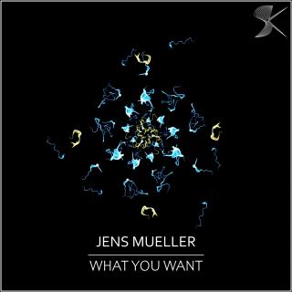 Artwork for What You Want From Me (Original Mix)