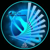 Artwork for Electric Ferments by Bob Ray