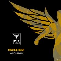 Artwork for Widda Flow by Charlie Bosh