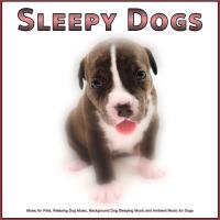 Artwork for Sleepy Dogs: Music for Pets, Relaxing Dog Music, Background Dog Sleeping Music and Ambient Music for Dogs by Sleepy Dogs