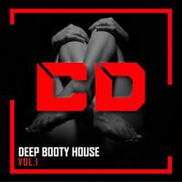 Artwork for Deep Booty House, Vol.1 by Various Artists