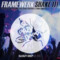 Artwork for Shake It! by Framewerk