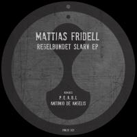 Artwork for Regelbundet Slarv EP by Mattias Fridell