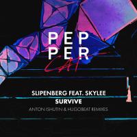 Artwork for Survive by Slipenberg