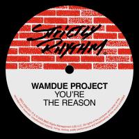 Artwork for You're The Reason by Wamdue Project