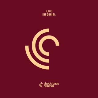 Artwork for Incógnita