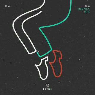Artwork for DM (Ridney Mix)