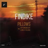 Artwork for Pillows by Findike