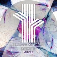 Artwork for Voices by Mod3sto