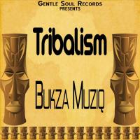 Artwork for Tribalism by Bukza Musiq