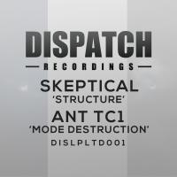 Artwork for Structure / Mode Destruction by SKEPTICAL