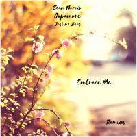 Artwork for Embrace Me Remixes by Sean Norvis