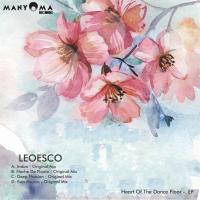 Artwork for Heart Of The Dance Floor by Leoesco