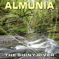 Artwork for The Shiny River by Almunia