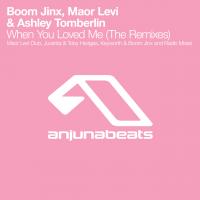 Artwork for When You Loved Me (The Remixes) by Boom Jinx