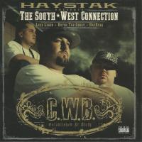 Artwork for The South West Connection by Haystak