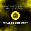 Artwork for What Do You Want (Original Mix)
