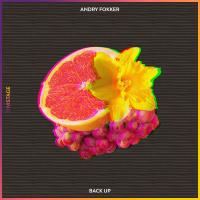 Artwork for Back Up by Andry Fokker
