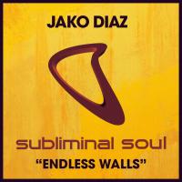Artwork for Endless Walls by Jako Diaz