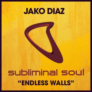 Artwork for Endless Walls
