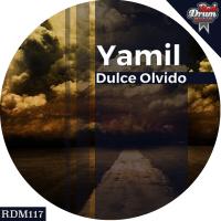 Artwork for Dulce Olvido by Yamil