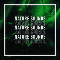 Artwork for Nature Sounds by Nature Sounds Nature Music