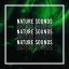 Artwork for Crickets Sounds