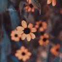 Artwork for Effect (Original Mix)