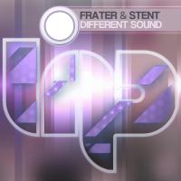 Artwork for Different Sound by Frater