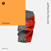 Artwork for Don't Say Anything by Quivver