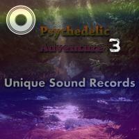 Artwork for Psychedelic Adventure 3 by Various Artists