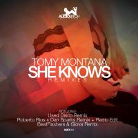 Artwork for She Knows Remixes by Tomy Montana