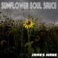 Artwork for Sunflower Soul Sauce by James Wade