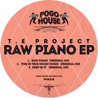 Artwork for Raw Piano EP by T.E Project