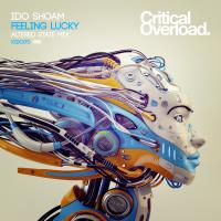 Artwork for Feeling Lucky (Altered State Remix) by Ido Shoam