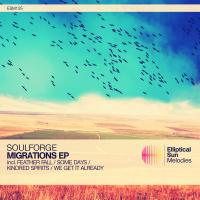 Artwork for Migrations EP by Soulforge