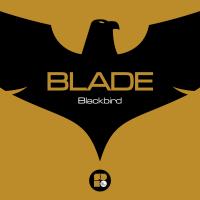 Artwork for Blackbird by Blade (dnb)