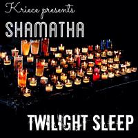 Artwork for Twilight Sleep by Kriece