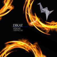 Artwork for Voices by DJ Kay