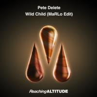 Artwork for Wild Child by Pete Delete