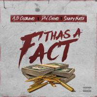 Artwork for Thas a Fact by AG Cubano