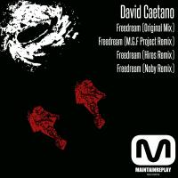 Artwork for Freedream by David Caetano