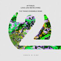 Artwork for Love Like We're Dying (The Trance Ensemble Remix) by AFTERUS