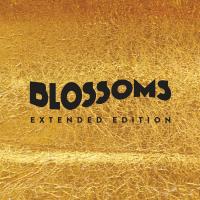 Artwork for Blossoms by Blossoms