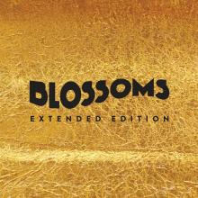 Artwork for "Charlemagne" by Blossoms