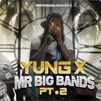 Artwork for Mr Big Bands, Pt. 2 by Yung X