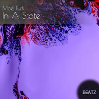 Artwork for In A State by Moe Turk