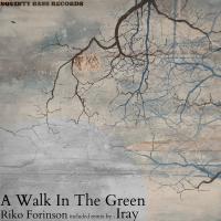 Artwork for A Walk In The Green by Riko Forinson